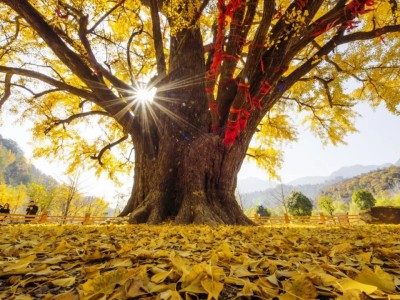 随州大洪山到底有什么啊？